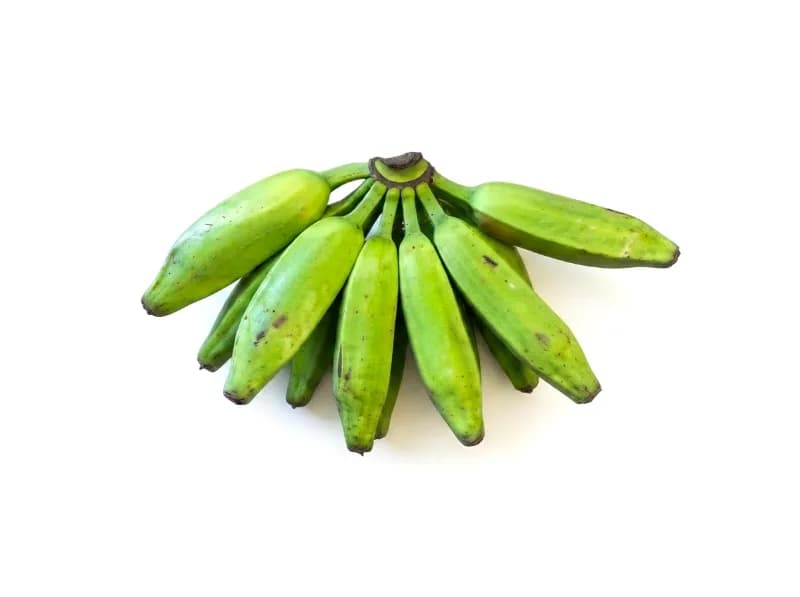Mano de plátano burro