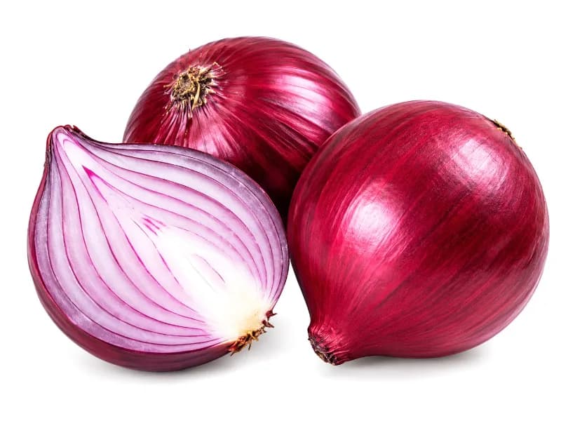 Cebolla morada x Lb